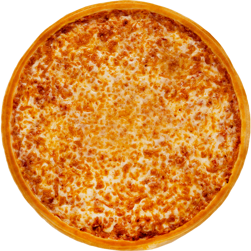 Famous Mozzarella Cheese Pizza